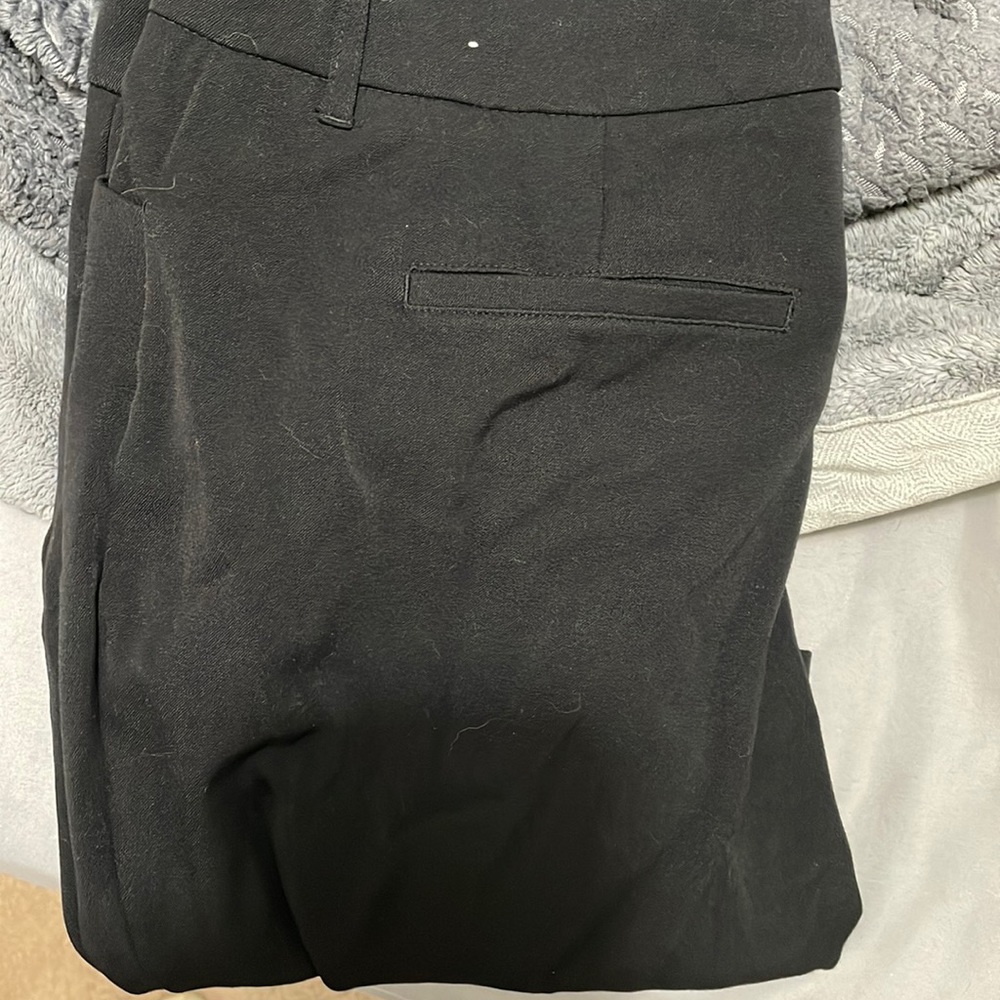 Dress pants